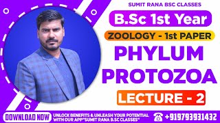 Lt01 Phylum  Protozoa Part2  BSc1st Year Zoology [upl. by Acnaib]