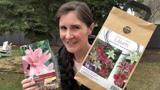 How to plant lily bulbs [upl. by Weissman]