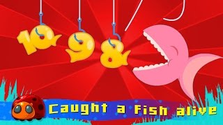 12345 Once I Caught A Fish Alive  Nursery Rhymes for kids  JellyBug [upl. by Nylirahs970]