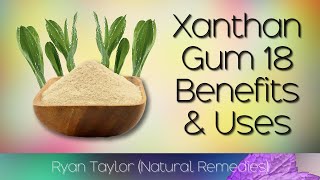 Xanthan Gum Benefits and Uses [upl. by Aifos743]