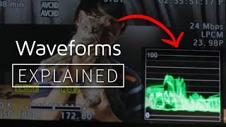 Explained  How to Read and Use Waveforms [upl. by Singhal]