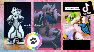 Furry TikToks Compilation 12 [upl. by Azne]