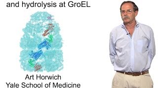 Arthur Horwich YaleHHMI Part 2 The role of ATP binding and hydrolysis at GroEL [upl. by Emmery]