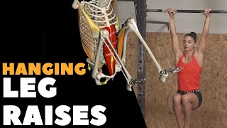 Hanging Leg Raises I Anatomical Analysis [upl. by Delfeena]