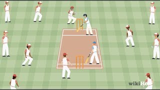 How to Play Cricket [upl. by Gnuj]