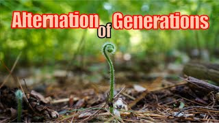 On Alternation of Generations [upl. by Narahs]