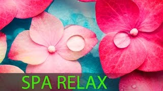 6 Hour Super Relaxing Spa Music Meditation Music Massage Music Relaxation Music Soothing ☯594 [upl. by Rains]