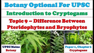 Difference between Pteridophytes and Bryophytes Pteridophytes VS Bryophytes Dissimilarities [upl. by Esyla756]