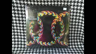 TOOL  Lateralus 2021 Special Edition [upl. by Fronniah]