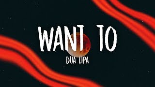 Dua Lipa  Want To Lyrics [upl. by Gamber]