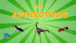 The Arthropods  Educational Video for Kids [upl. by Meurer]