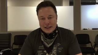 Too many MBAs ruining companies Elon Musk explains [upl. by Brennen]