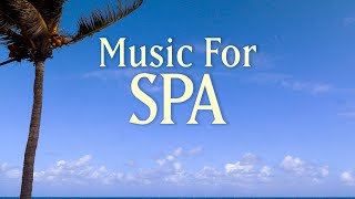 8 HOURS SPA MUSIC PLAYLIST  Healing Arts Massage amp Meditation  with Earth Resonance Frequency [upl. by Stanwood]