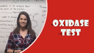 Oxidase Test [upl. by Kcirdes]