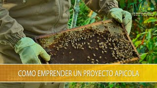 Como Emprender un Proyecto Apicola  TvAgro por Juan Gonzalo Angel Restrepo [upl. by Lrig]