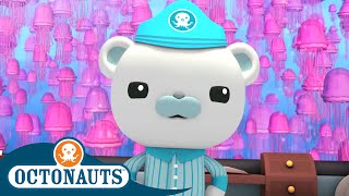 Octonauts  Jellyfish Adventure  Cartoons for Kids  Underwater Sea Education [upl. by Papagena]