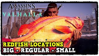 Assassins Creed Valhalla Redfish Fish Locations Big  Regular  Small [upl. by Ancalin]