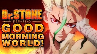 Dr Stone  Good Morning World FULL ENGLISH COVER by Boy Hero [upl. by Gherardo]