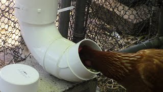 DIY Rodent Proof Chicken Feeders [upl. by Oniluap]