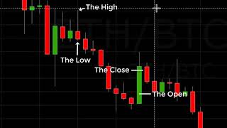 Reading A Crypto Candlestick Chart Basics [upl. by Niarbo]