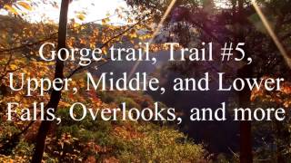 Letchworth State Park Gorge trail [upl. by Brand]