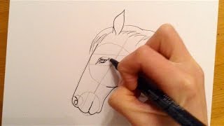 Beginners Lesson  How To Draw A Horse [upl. by Wareing]