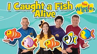 12345 Once I Caught A Fish Alive 🐠 Kids Counting Songs 🔢 Nursery Rhymes 🎵 The Wiggles [upl. by Oneal]