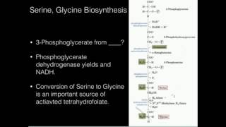 Serine Glycine Biosynthesis [upl. by Suirred46]