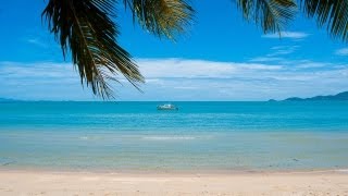 Best of Koh Samui Thailand top sights [upl. by Pontius333]