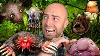 The 10 WEIRDEST ANIMALS in the World [upl. by Kelley187]