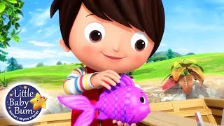 12345 Once I Caught A Fish Alive  Nursery Rhymes for Babies  Songs For Kids  Little Baby Bum [upl. by Walley]