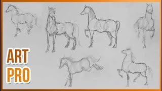 How to draw HORSES step by step 🐎 METHOD [upl. by Dent]