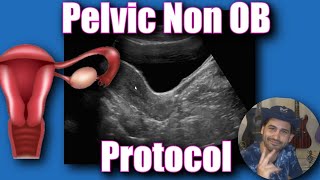 Pelvic Ultrasound Non OB Protocol [upl. by Alguire]