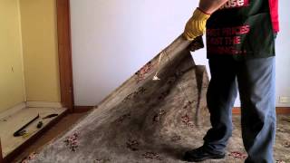 How To Remove Carpet  DIY At Bunnings [upl. by Niccolo607]