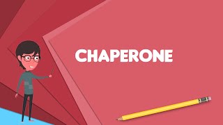 What is Chaperone protein Explain Chaperone protein Define Chaperone protein [upl. by Akena570]