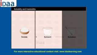 Insoluble and Soluble – science CBSE [upl. by Romanas]