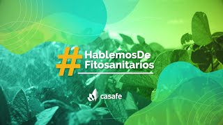 ¿Qué son los productos fitosanitarios [upl. by Irim]