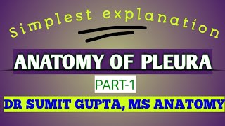 Empyema and Pleural Effusions [upl. by Nylhtiak9]