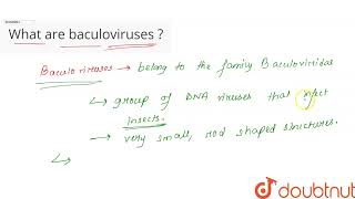 What are Baculoviruses  CLASS 12  MICROBES IN HUMAN WELFARE  BIOLOGY  Doubtnut [upl. by Assila359]