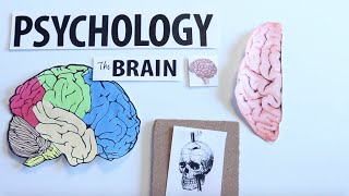 AP Psychology The Human Brain [upl. by Airotna33]