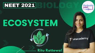 Ecosystem  NEET Biology  NEET 2021  Ritu Rattewal [upl. by Sokul]