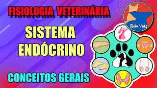 Sistema endócrino  Introdução  Fisiologia veterinária  Aula 1 [upl. by Ylsel674]