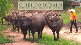 De Peão Boiadeiro a Rei dos Búfalos [upl. by Tung972]