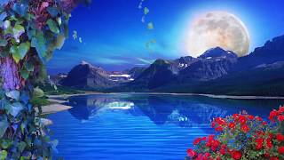 Nature Background Loop  Free Background  HD  60 fps [upl. by Namso]