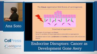 Endocrine Disruptors Cancer as Development Gone Awry [upl. by Benenson297]