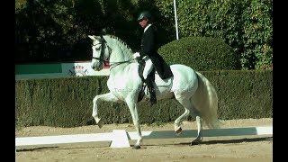 PIAFFE 360º  PASSAGE  GP ANDALUSIAN HORSE DOING BETTER EVERYDAY [upl. by Tiffa106]