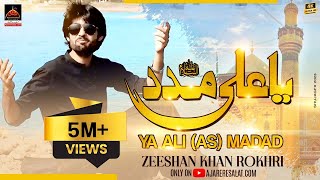 Qasida  Ya Ali Madad  Zeeshan Khan Rokhri  2017 [upl. by Marty10]