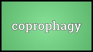 Coprophagy Meaning [upl. by Francklin]