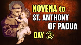 St Anthony of Padua Novena Day 3 [upl. by Calla]