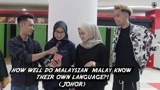 How Well Do Malaysian Malays Know Their Language [upl. by Brian]